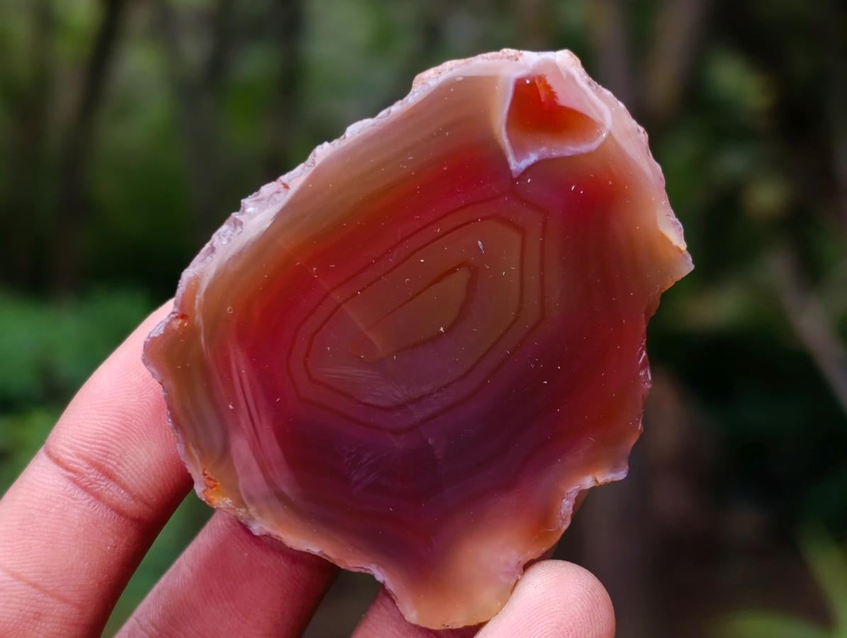 Polished One Side Red Shashe River Agate Nodules x 35 From Shashe River, Zimbabwe - Toprock Gemstones and Minerals 