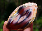 Polished One Side Red Shashe River Agate Nodules x 35 From Shashe River, Zimbabwe - Toprock Gemstones and Minerals 