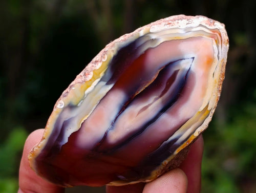 Polished One Side Red Shashe River Agate Nodules x 35 From Shashe River, Zimbabwe - Toprock Gemstones and Minerals 