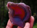 Polished One Side Red Shashe River Agate Nodules x 35 From Shashe River, Zimbabwe - Toprock Gemstones and Minerals 
