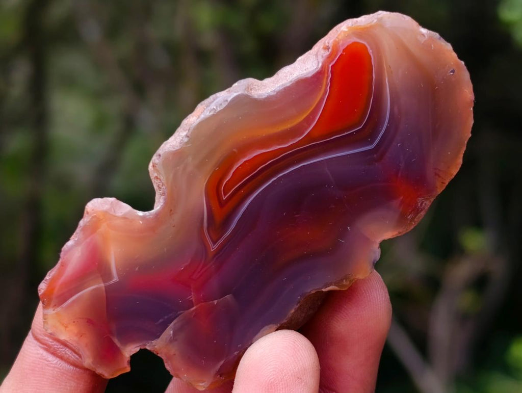 Polished One Side Red Shashe River Agate Nodules x 35 From Shashe River, Zimbabwe - Toprock Gemstones and Minerals 