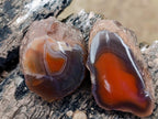 Polished One Side Red Shashe River Agate Nodules x 35 From Shashe River, Zimbabwe - Toprock Gemstones and Minerals 