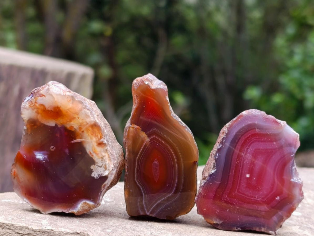 Polished One Side Red Shashe River Agate Nodules x 35 From Shashe River, Zimbabwe - Toprock Gemstones and Minerals 