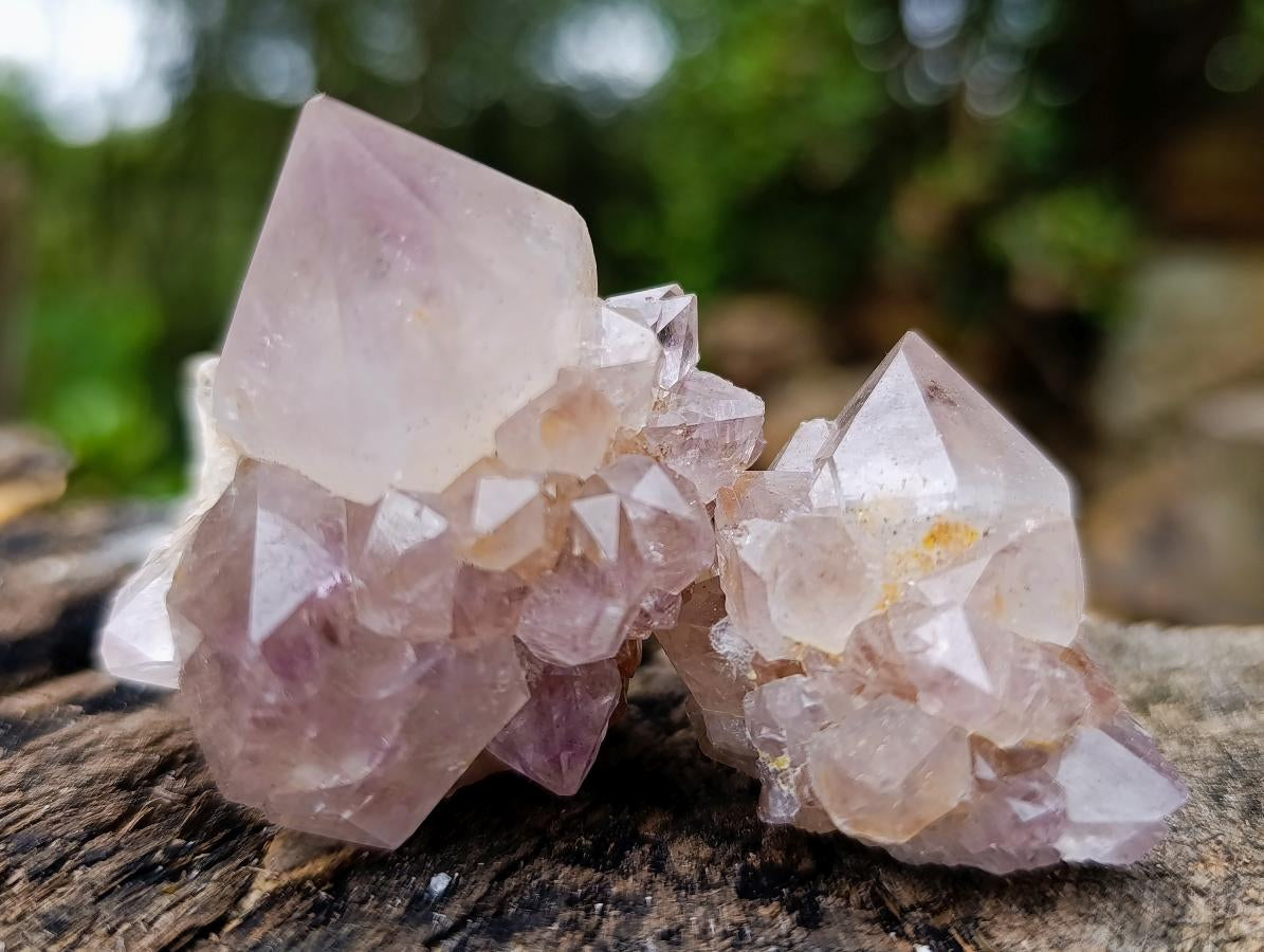 Natural Cactus Flower Smokey Spirit Amethyst Clusters x 60 From South Africa - Toprock Gemstones and Minerals 