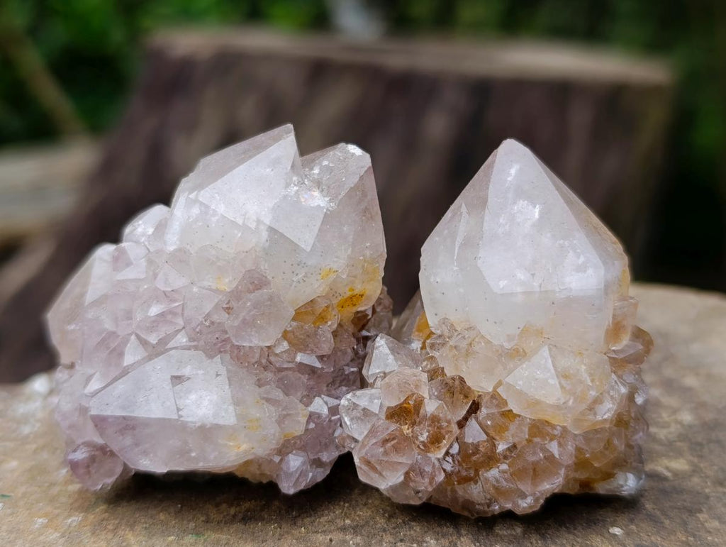 Natural Cactus Flower Smokey Spirit Amethyst Clusters x 60 From South Africa - Toprock Gemstones and Minerals 