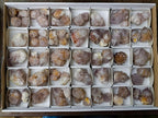 Natural Cactus Flower Smokey Spirit Amethyst Clusters x 60 From South Africa - Toprock Gemstones and Minerals 