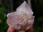 Natural Cactus Flower Smokey Spirit Amethyst Clusters x 60 From South Africa - Toprock Gemstones and Minerals 