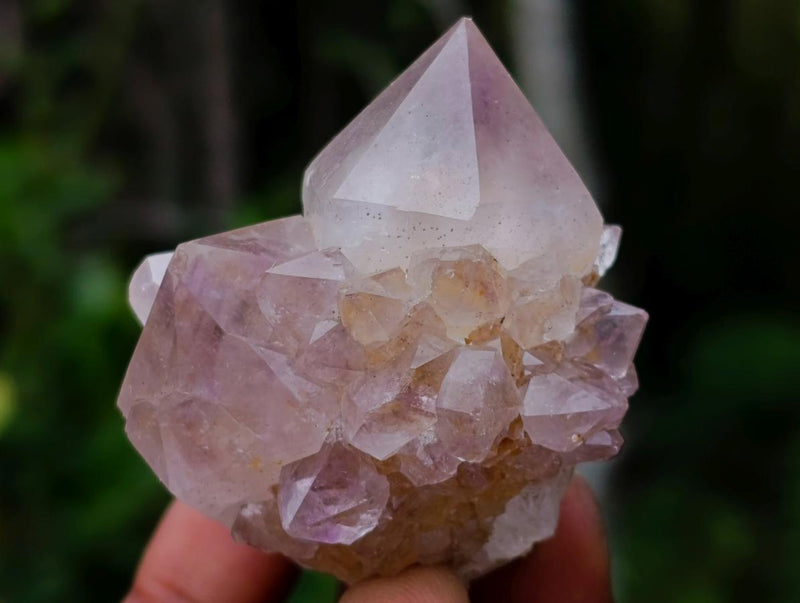 Natural Cactus Flower Smokey Spirit Amethyst Clusters x 60 From South Africa - Toprock Gemstones and Minerals 