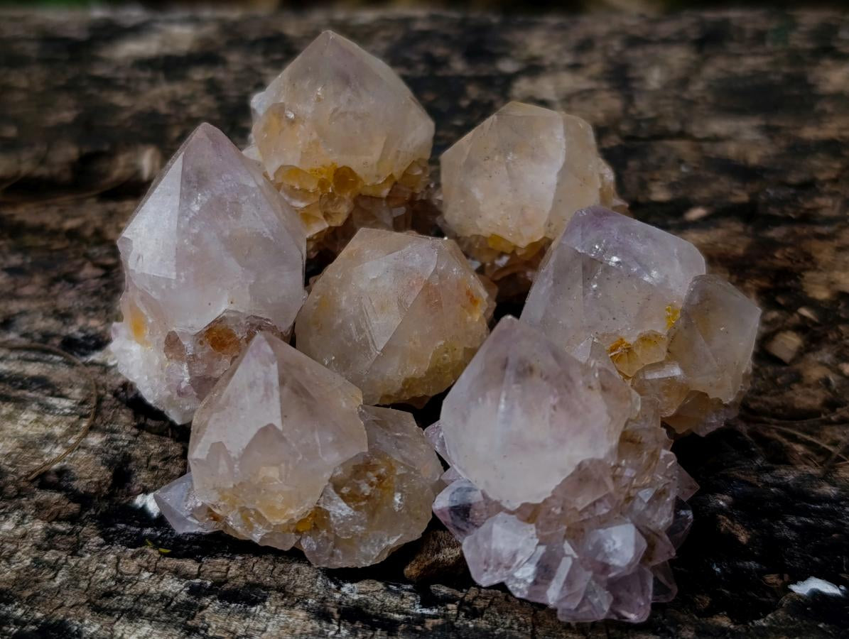 Natural Cactus Flower Smokey Spirit Amethyst Clusters x 60 From South Africa - Toprock Gemstones and Minerals 