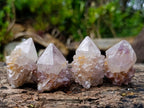 Natural Cactus Flower Smokey Spirit Amethyst Clusters x 60 From South Africa - Toprock Gemstones and Minerals 