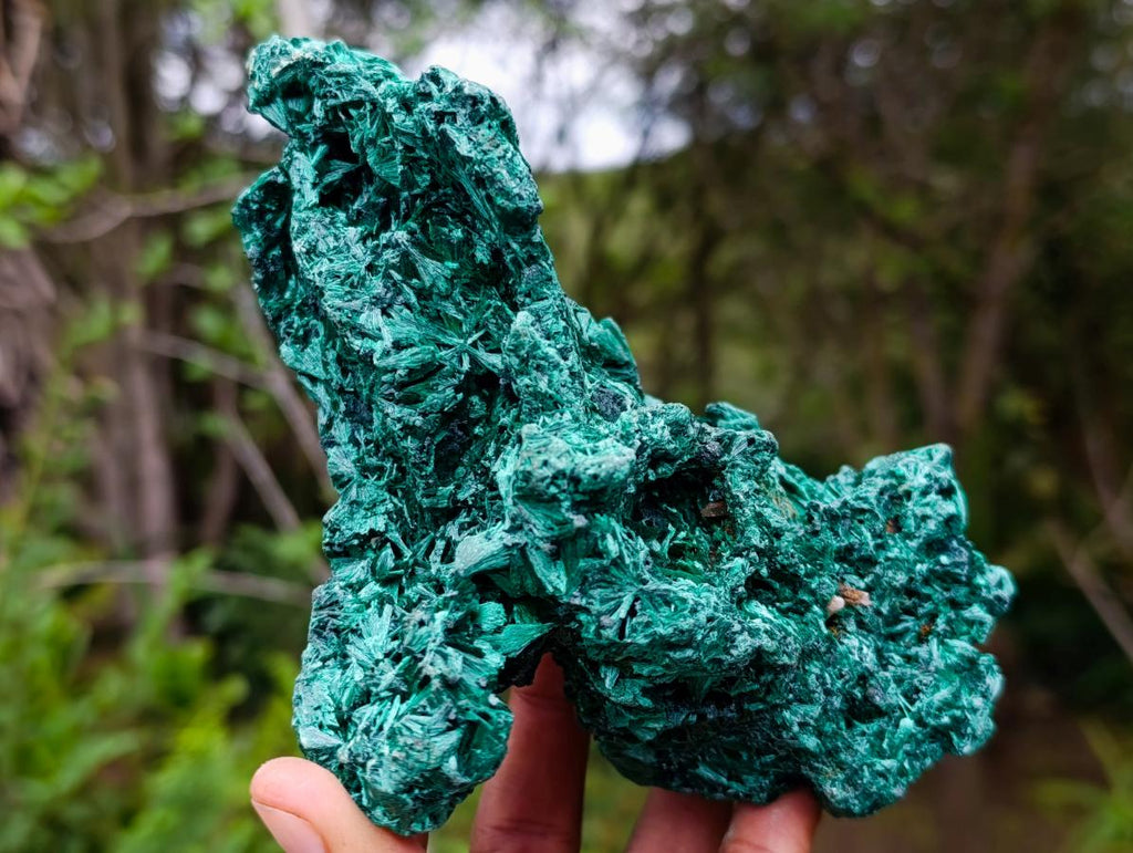 Natural Silky Malachite Specimens x 2 From Kasompe, Congo - Toprock Gemstones and Minerals 