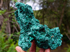 Natural Silky Malachite Specimens x 2 From Kasompe, Congo - Toprock Gemstones and Minerals 