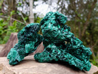 Natural Silky Malachite Specimens x 2 From Kasompe, Congo - Toprock Gemstones and Minerals 