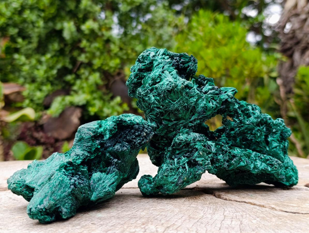Natural Silky Malachite Specimens x 2 From Kasompe, Congo - Toprock Gemstones and Minerals 