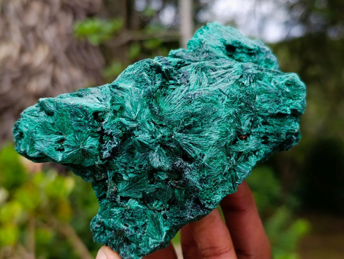 Natural Silky Malachite Specimens x 2 From Kasompe, Congo - Toprock Gemstones and Minerals 