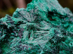 Natural Silky Malachite Specimens x 2 From Kasompe, Congo - Toprock Gemstones and Minerals 