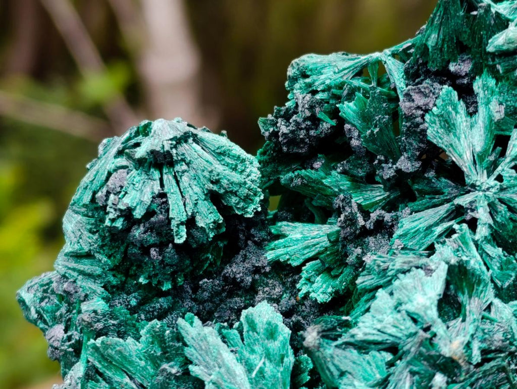 Natural Silky Malachite Specimens x 2 From Kasompe, Congo - Toprock Gemstones and Minerals 