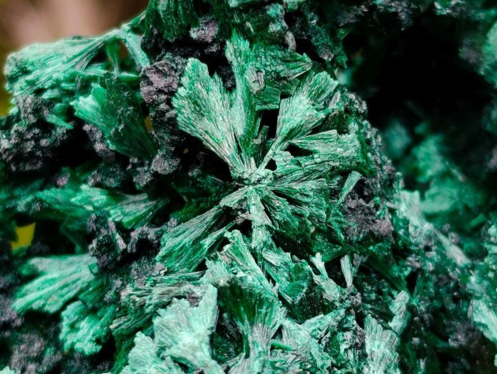 Natural Silky Malachite Specimens x 2 From Kasompe, Congo - Toprock Gemstones and Minerals 