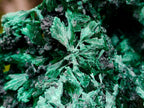 Natural Silky Malachite Specimens x 2 From Kasompe, Congo - Toprock Gemstones and Minerals 