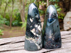 Polished Bloodstone Standing Display Pieces x 2 From Swaziland - Toprock Gemstones and Minerals 