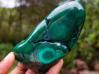 Polished Flower Banded Malachite Free Forms x 6 From Congo - Toprock Gemstones and Minerals 