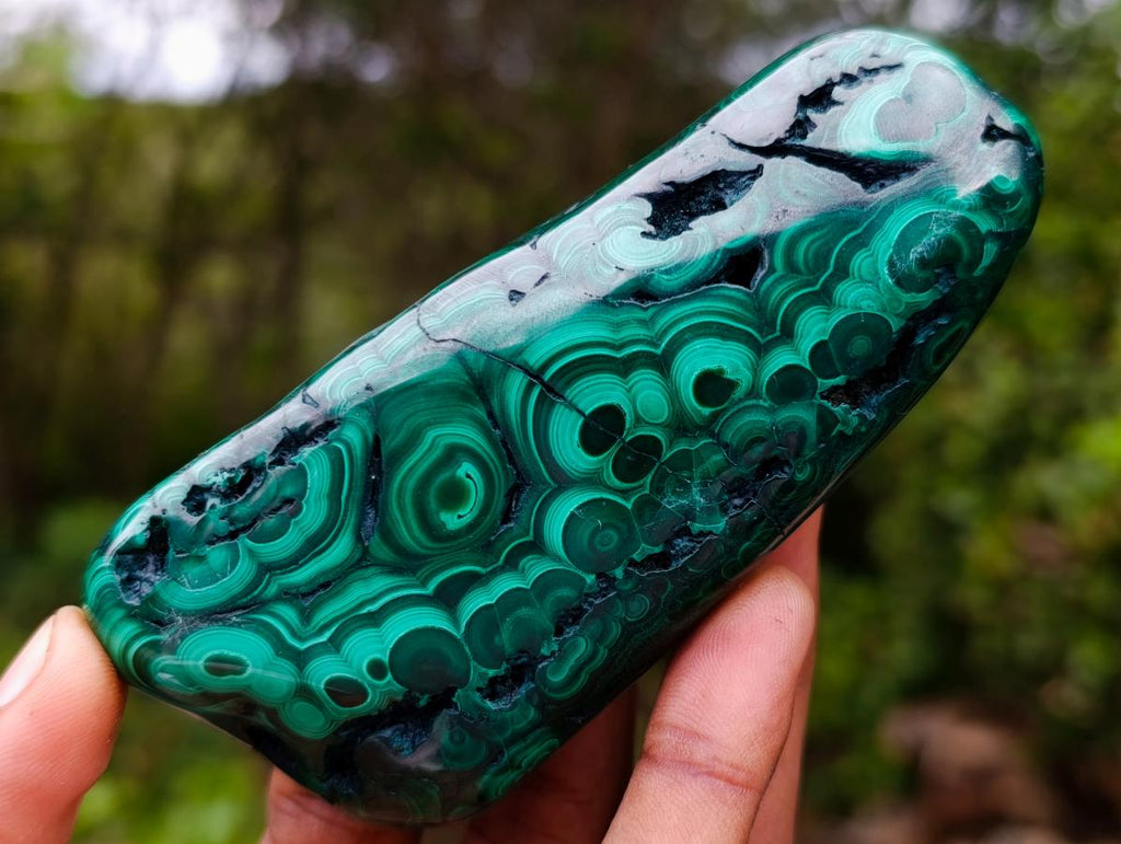 Polished Flower Banded Malachite Free Forms x 6 From Congo - Toprock Gemstones and Minerals 