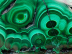 Polished Flower Banded Malachite Free Forms x 6 From Congo - Toprock Gemstones and Minerals 