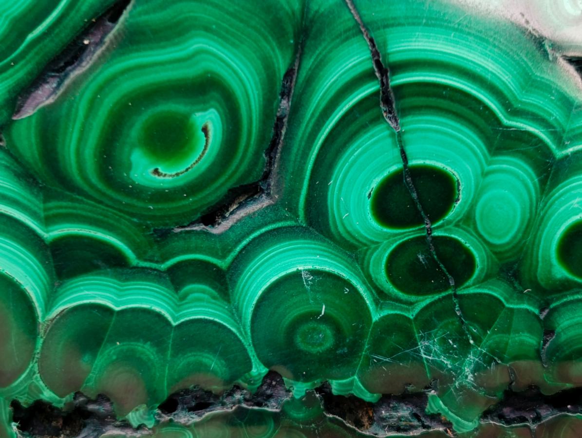 Polished Flower Banded Malachite Free Forms x 6 From Congo - Toprock Gemstones and Minerals 