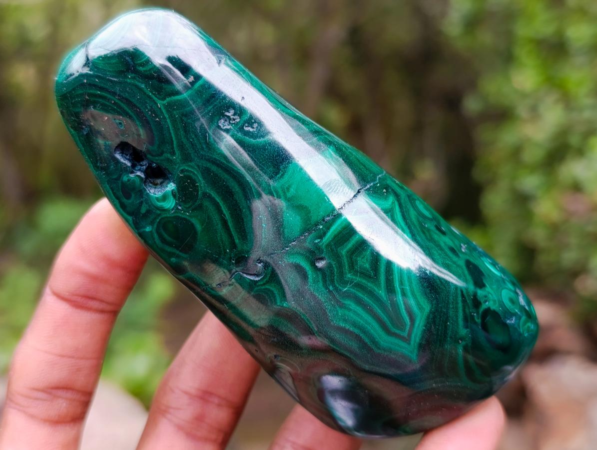 Polished Flower Banded Malachite Free Forms x 6 From Congo - Toprock Gemstones and Minerals 