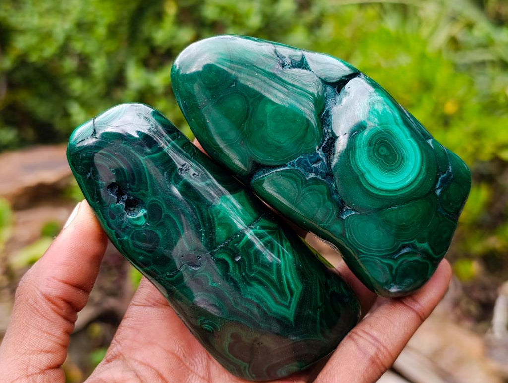 Polished Flower Banded Malachite Free Forms x 6 From Congo - Toprock Gemstones and Minerals 