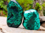Polished Flower Banded Malachite Free Forms x 6 From Congo - Toprock Gemstones and Minerals 