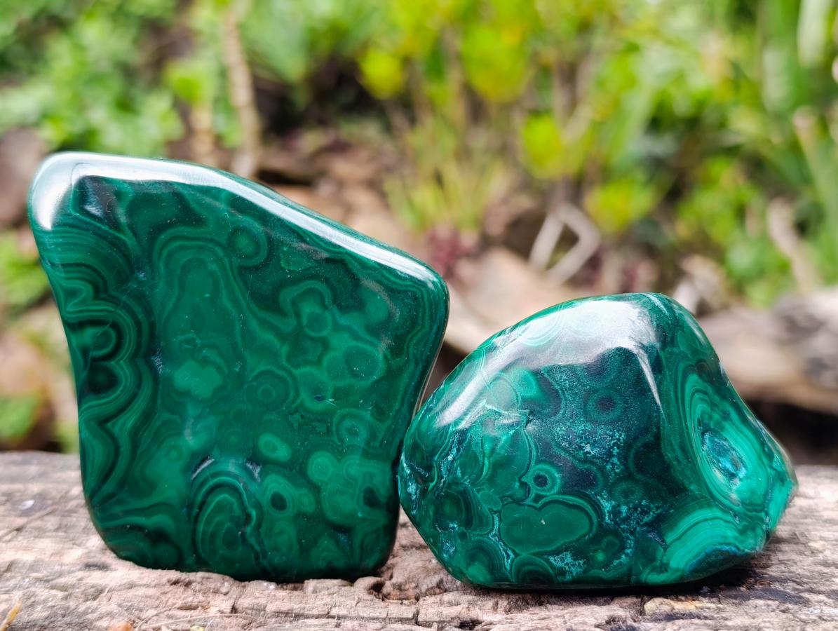 Polished Flower Banded Malachite Free Forms x 6 From Congo - Toprock Gemstones and Minerals 