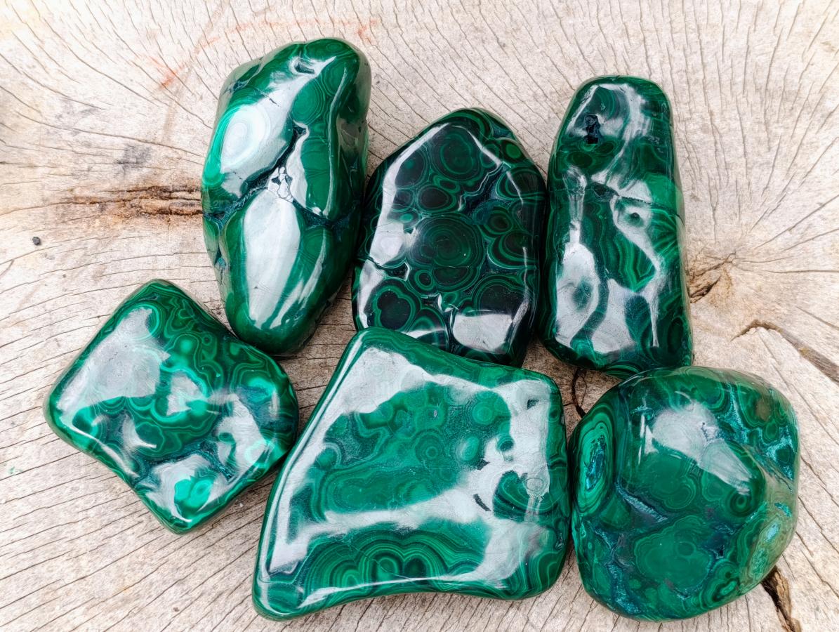Polished Flower Banded Malachite Free Forms x 6 From Congo - Toprock Gemstones and Minerals 