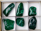 Polished Flower Banded Malachite Free Forms x 6 From Congo - Toprock Gemstones and Minerals 