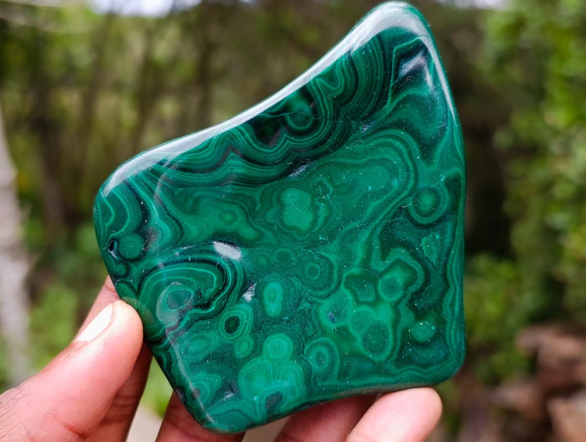 Polished Flower Banded Malachite Free Forms x 6 From Congo - Toprock Gemstones and Minerals 
