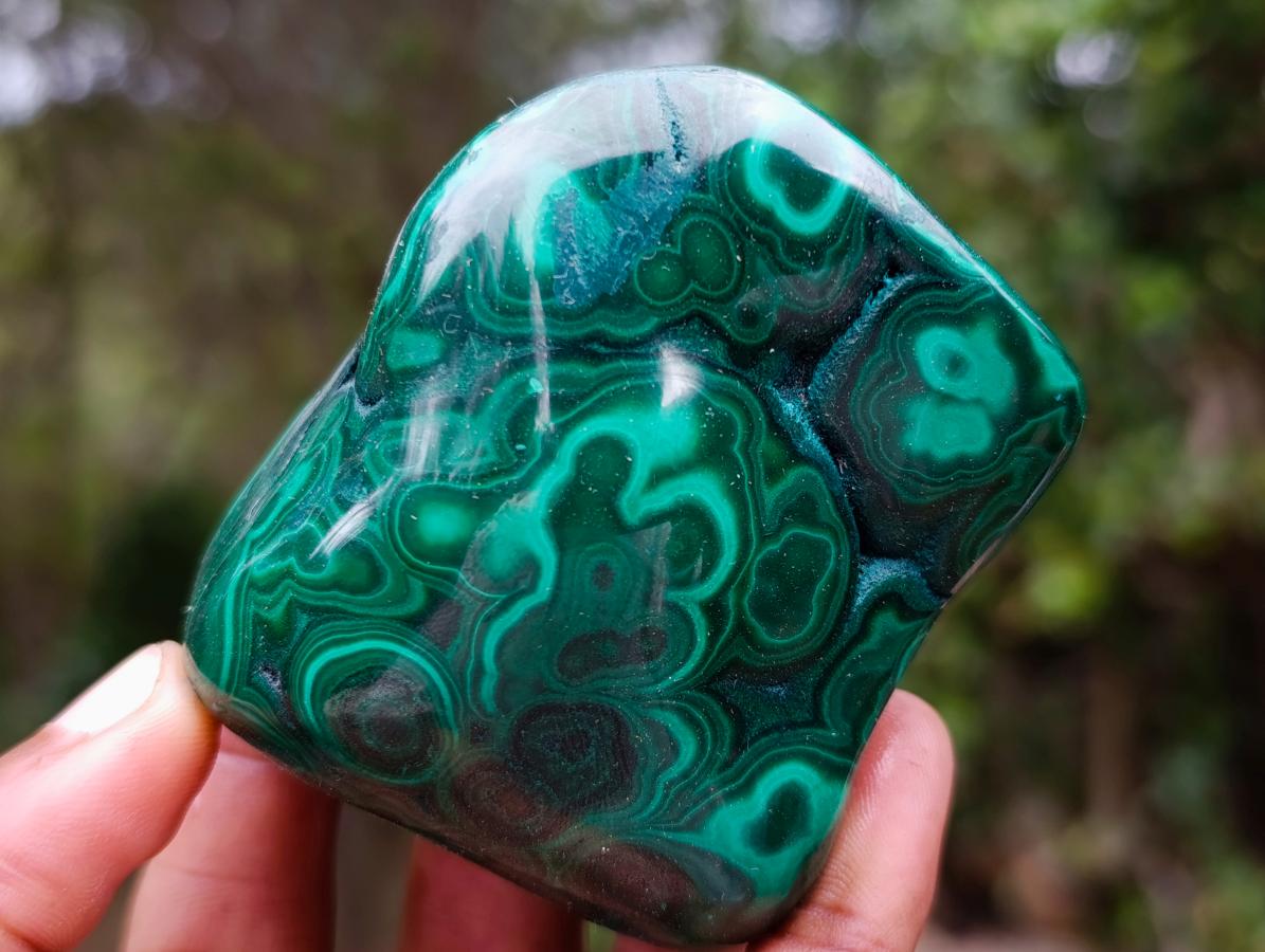 Polished Flower Banded Malachite Free Forms x 6 From Congo - Toprock Gemstones and Minerals 