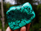Polished Flower Banded Malachite Free Forms x 6 From Congo - Toprock Gemstones and Minerals 
