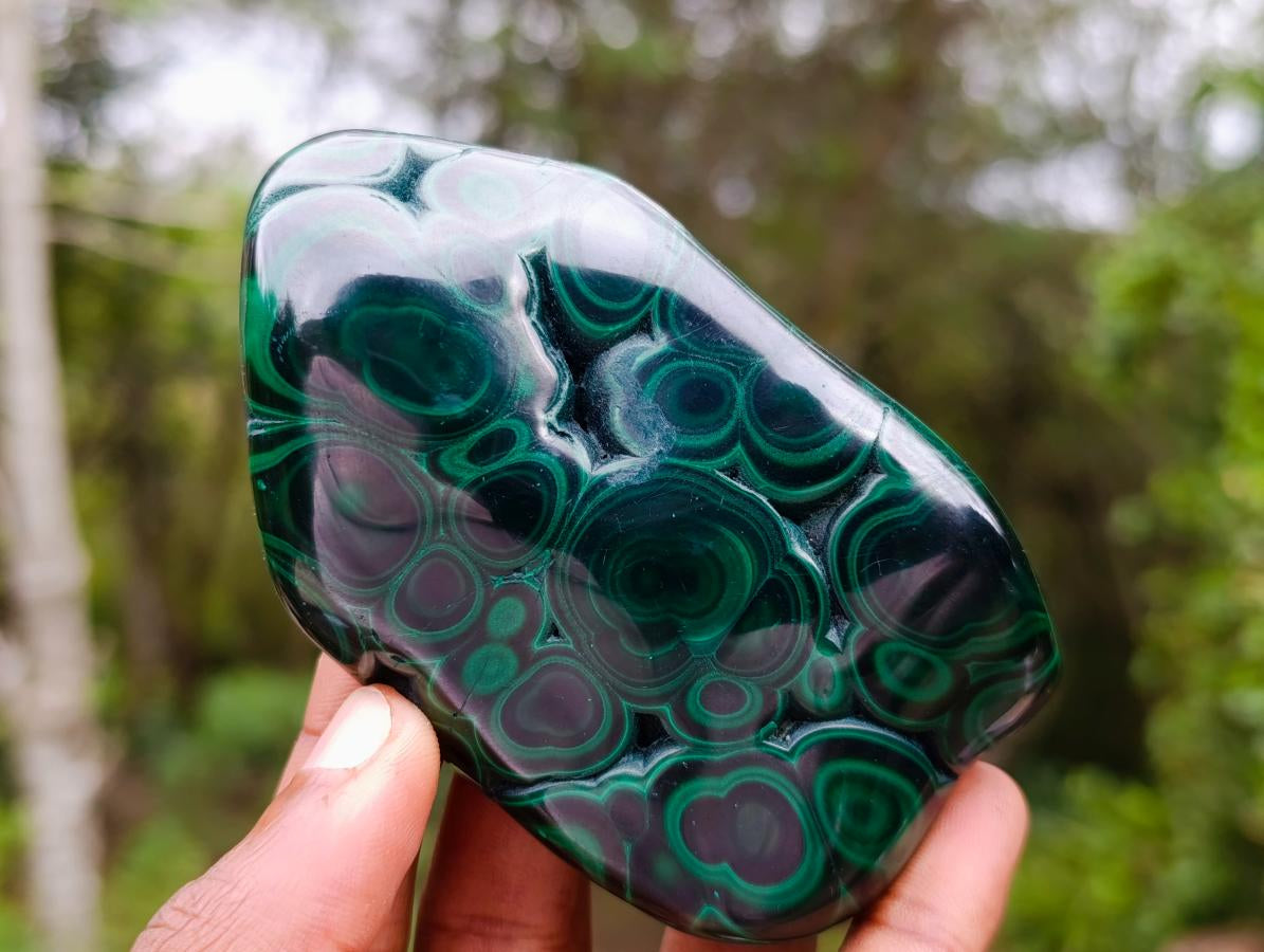 Polished Flower Banded Malachite Free Forms x 6 From Congo - Toprock Gemstones and Minerals 