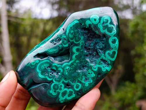 Polished Flower Banded Malachite Free Forms x 6 From Congo - Toprock Gemstones and Minerals 