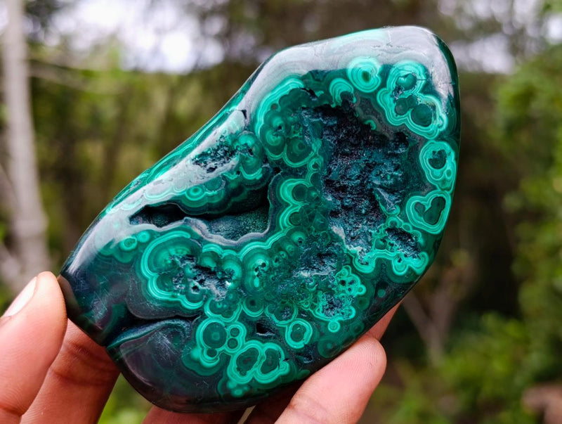 Polished Flower Banded Malachite Free Forms x 6 From Congo - Toprock Gemstones and Minerals 