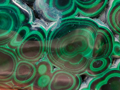 Polished Flower Banded Malachite Free Forms x 6 From Congo - Toprock Gemstones and Minerals 