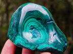 Polished Flower Banded Malachite Free Forms x 6 From Congo - Toprock Gemstones and Minerals 