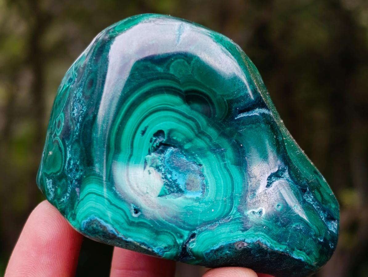 Polished Flower Banded Malachite Free Forms x 6 From Congo - Toprock Gemstones and Minerals 