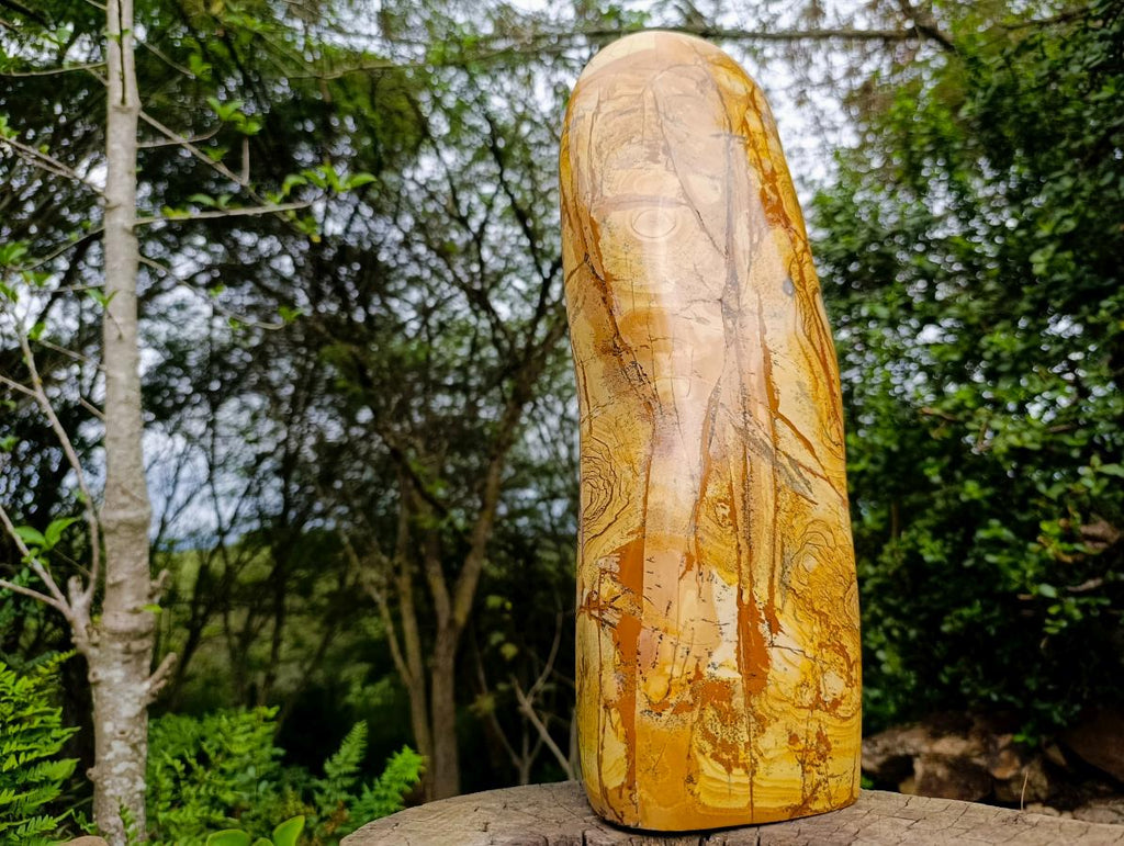 Polished XL Picture Stone Jasper Standing Display Piece x 1 From Ais-Ais, Namibia - Toprock Gemstones and Minerals 