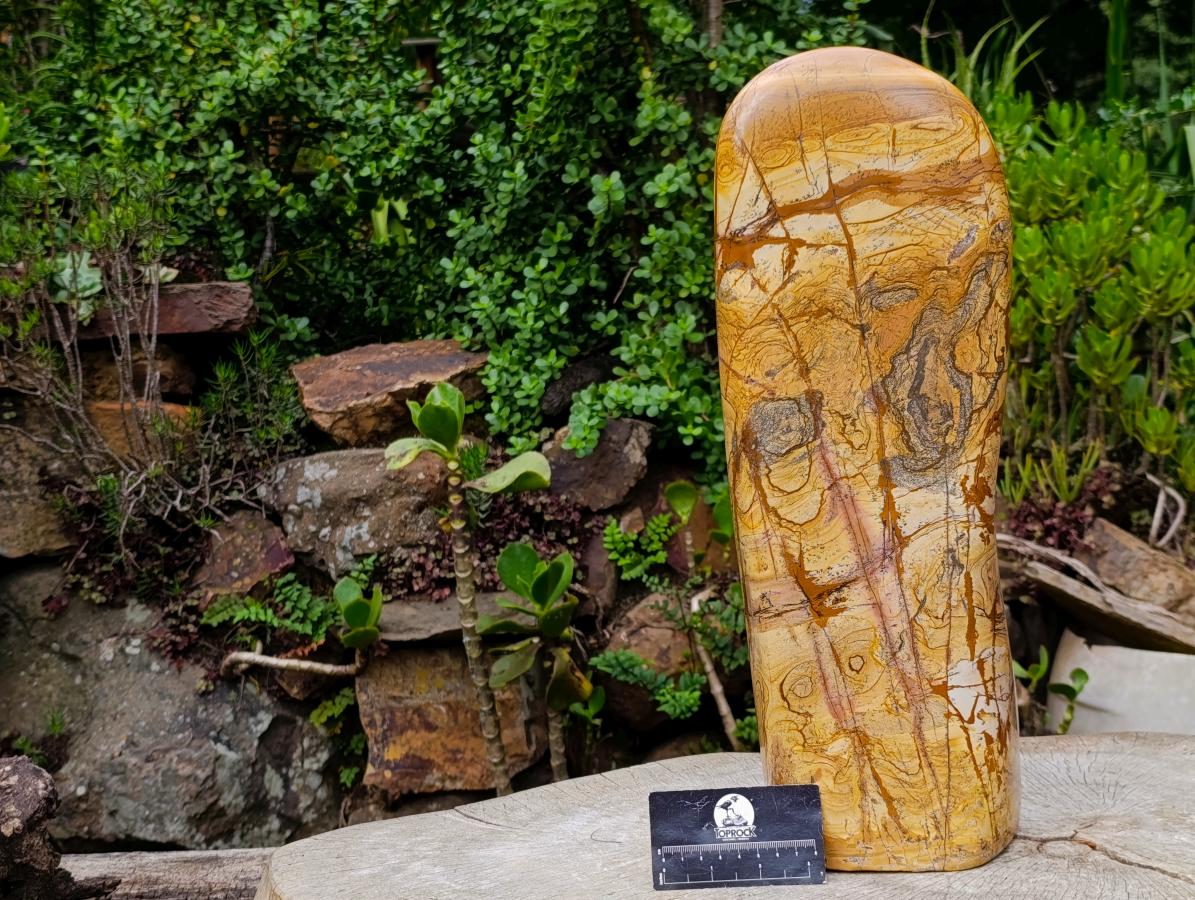 Polished XL Picture Stone Jasper Standing Display Piece x 1 From Ais-Ais, Namibia - Toprock Gemstones and Minerals 