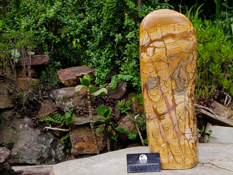 Polished XL Picture Stone Jasper Standing Display Piece x 1 From Ais-Ais, Namibia - Toprock Gemstones and Minerals 