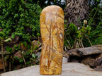 Polished XL Picture Stone Jasper Standing Display Piece x 1 From Ais-Ais, Namibia - Toprock Gemstones and Minerals 