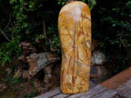 Polished XL Picture Stone Jasper Standing Display Piece x 1 From Ais-Ais, Namibia - Toprock Gemstones and Minerals 