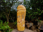 Polished XL Picture Stone Jasper Standing Display Piece x 1 From Ais-Ais, Namibia - Toprock Gemstones and Minerals 