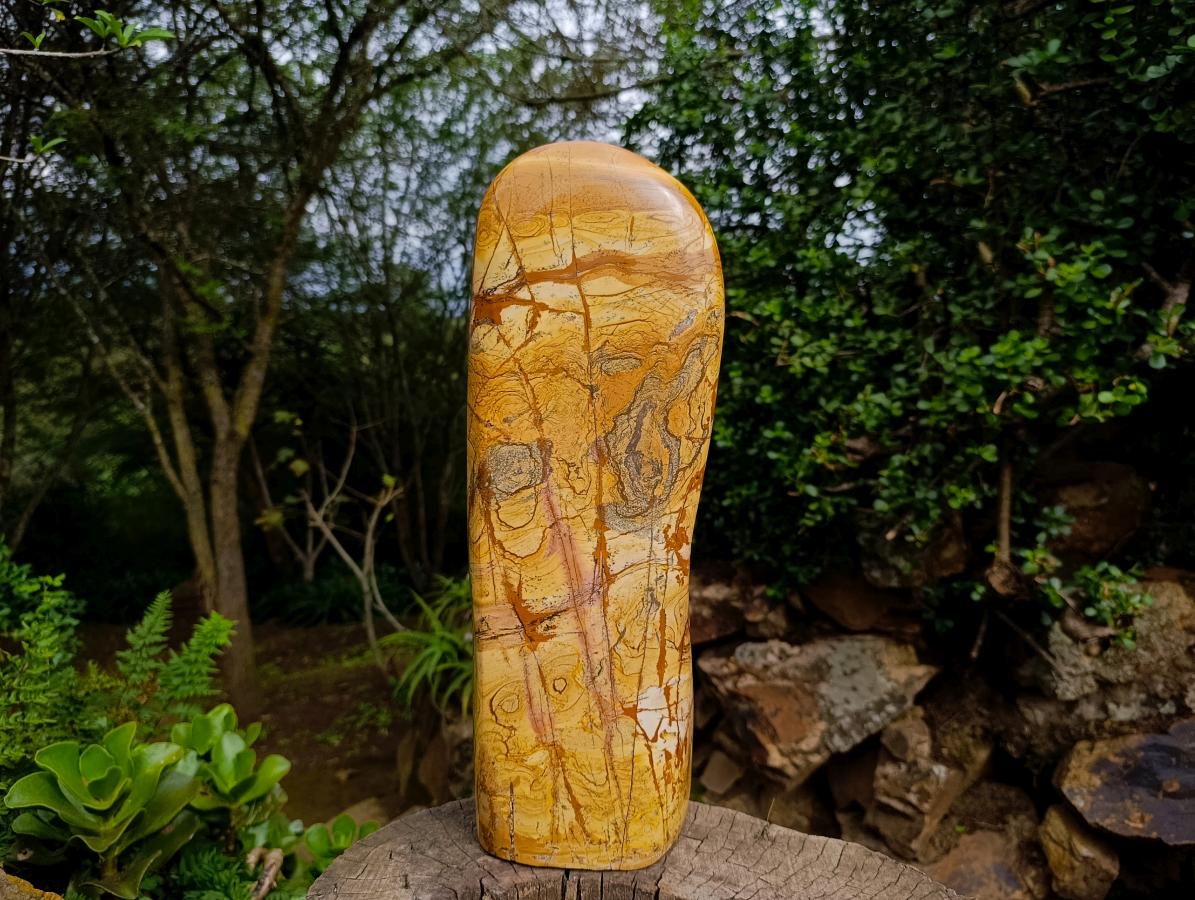 Polished XL Picture Stone Jasper Standing Display Piece x 1 From Ais-Ais, Namibia - Toprock Gemstones and Minerals 